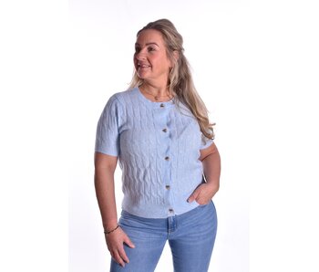 Vestje Hartjes Knoopjes - Licht Blauw