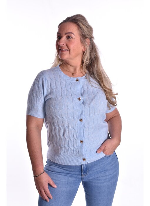 Vestje Hartjes Knoopjes - Licht Blauw