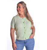 Vestje Hartjes Knoopjes - Appeltjes Groen