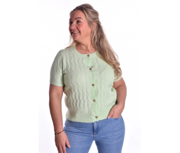 Vestje Hartjes Knoopjes - Appeltjes Groen