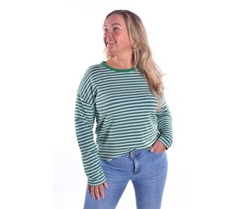 Top Robin - Groen - Zacht Aqua