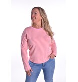 Top Robin - Zahtgeel - Roze