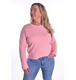 Top Robin - Zahtgeel - Roze