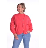 Gebreid Vest Fabi - Koraal