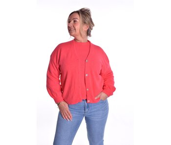 Gebreid Vest Fabi - Koraal