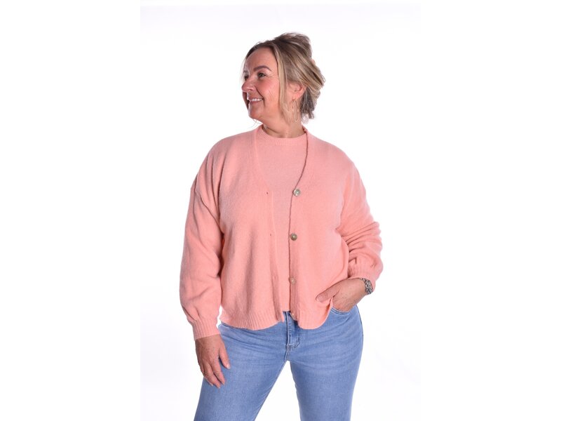 Gebreide Top Fabi - Zalm