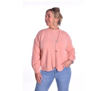 Gebreid Vest Fabi - Zalm