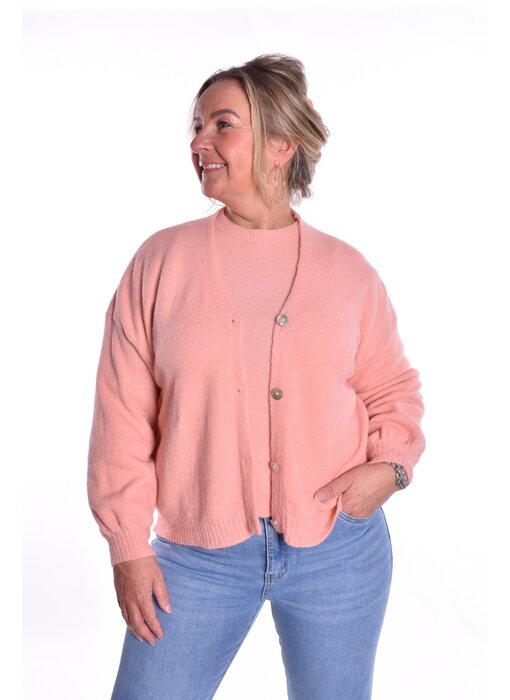 Gebreid Vest Fabi - Zalm