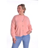 Gebreid Vest Fabi - Zalm