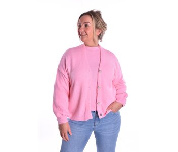 Gebreid Vest Fabi - Roze