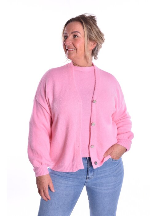 Gebreid Vest Fabi - Roze