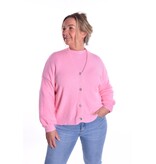 Gebreid Vest Fabi - Roze