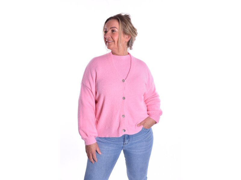 Gebreid Vest Fabi - Roze