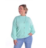 Gebreid Vest Fabi - Mint