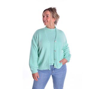 Gebreid Vest Fabi - Mint
