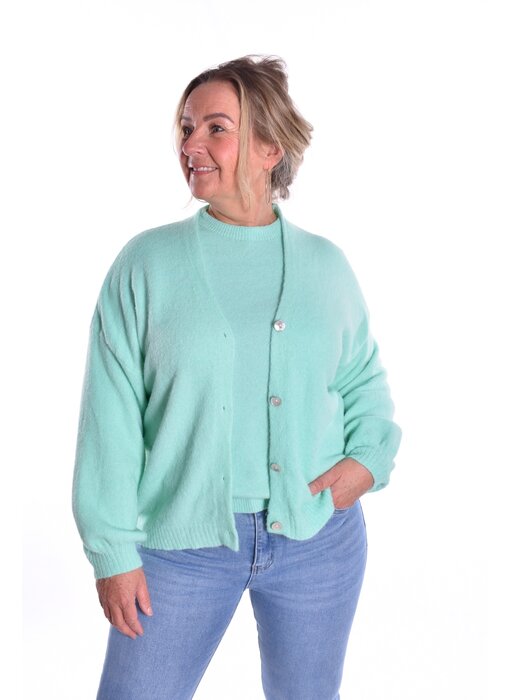 Gebreid Vest Fabi - Mint