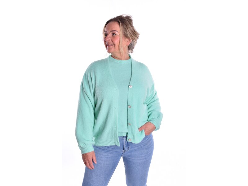 Gebreid Vest Fabi - Mint