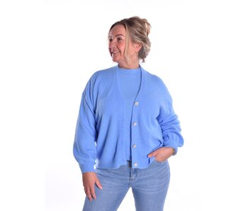 Gebreid Vest Fabi - Hemels Blauw