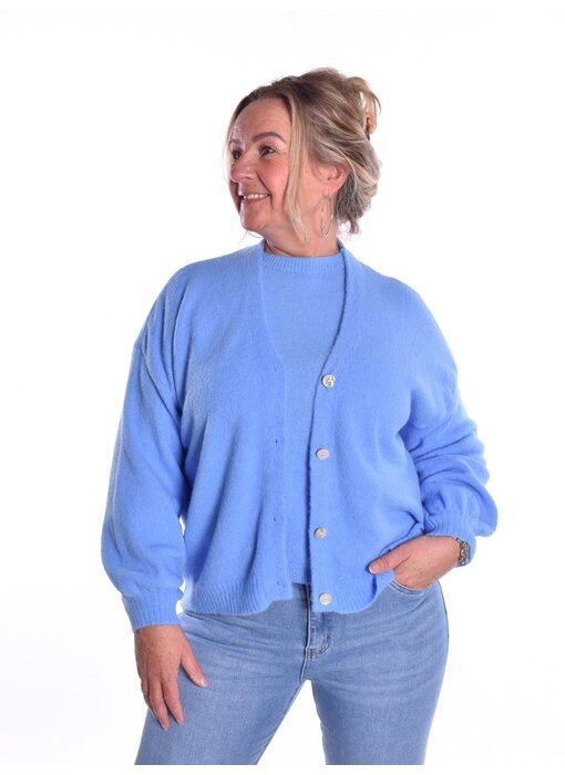 Gebreid Vest Fabi - Hemels Blauw