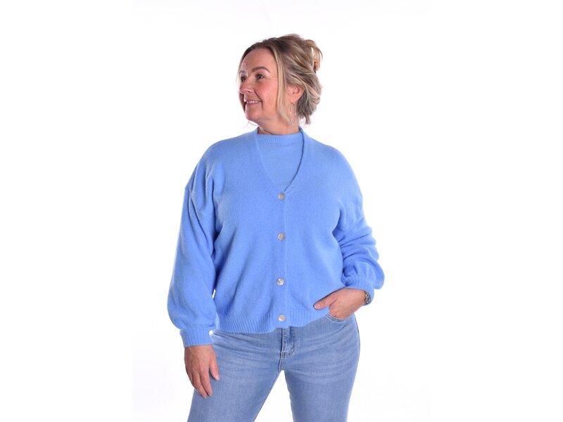 Gebreid Vest Fabi - Hemels Blauw