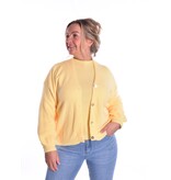 Gebreid Vest Fabi - Zacht Geel