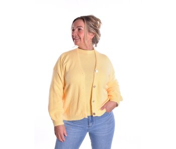 Gebreid Vest Fabi - Zacht Geel