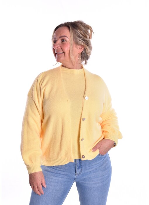 Gebreid Vest Fabi - Zacht Geel