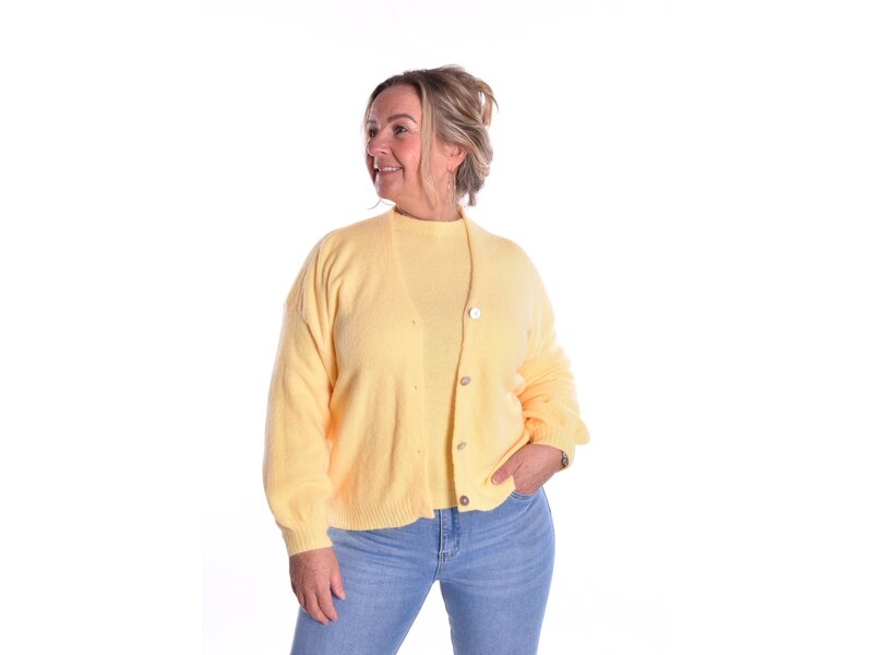 Gebreid Vest Fabi - Zacht Geel