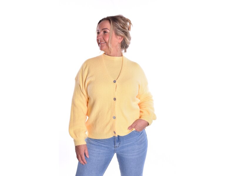 Gebreid Vest Fabi - Zacht Geel