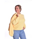 Gebreid Vest Fabi - Zacht Geel