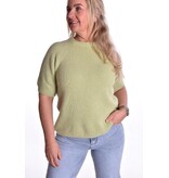 Top Alpaca it is! - Lindegroen