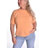 Top Alpaca it is! - Peach