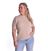 Top Alpaca it is! - Beige