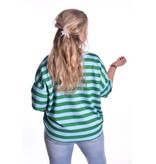 Top Beau van Mooij - Groen