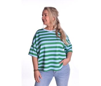 Top Beau van Mooij - Groen