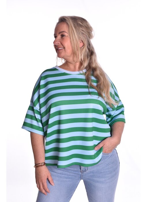 Top Beau van Mooij - Groen