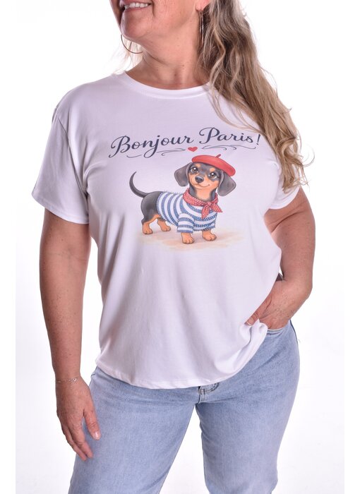 T-shirt Teckel In Paris