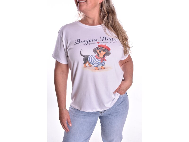 T-shirt Teckel In Paris
