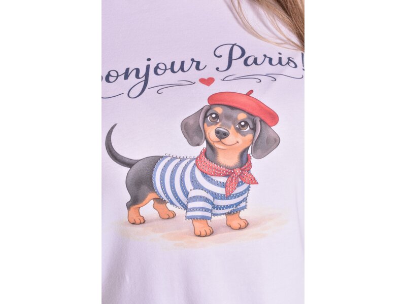 T-shirt Teckel In Paris