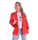 T-shirt Teckel In Paris