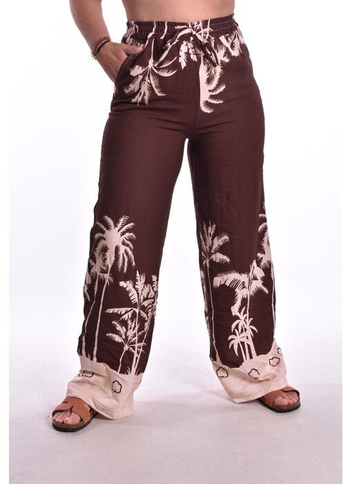 Broek Palm Springs - Choco