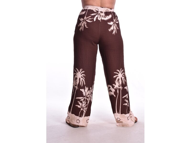 Broek Palm Springs - Choco