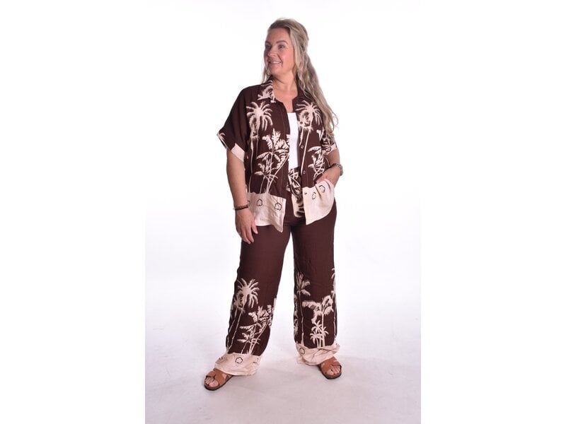 Broek Palm Springs - Choco