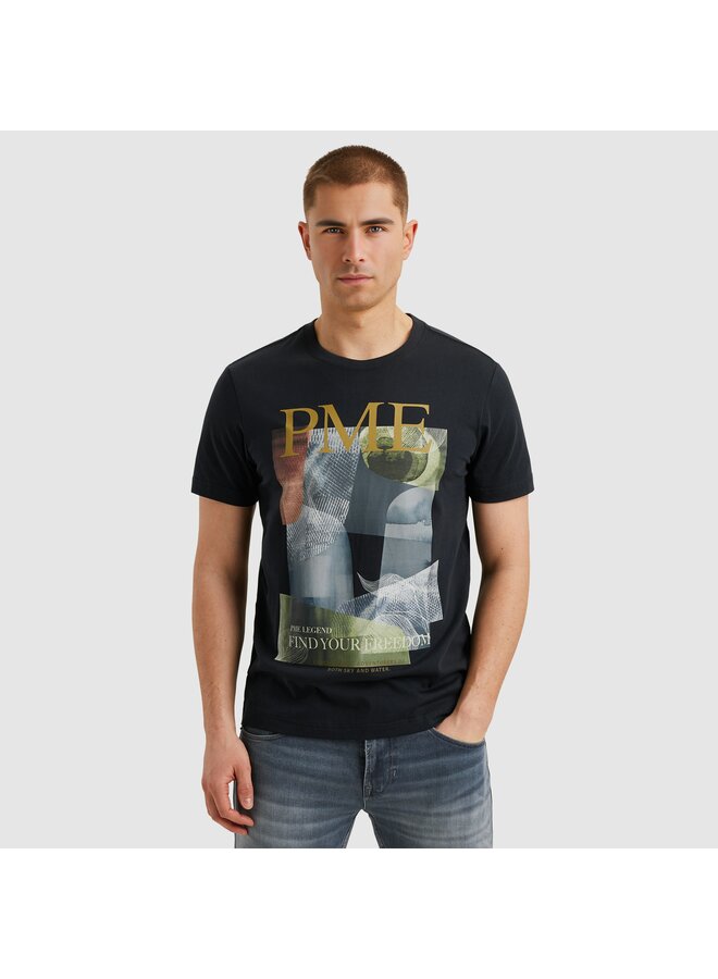 PTSS2504587 5281 PME Legend Short sleeve r-neck single jersey painting art Salute