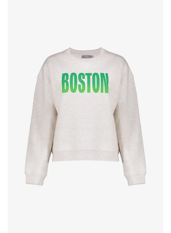 52602-41 715 Geisha Sweater "Boston" beige melange/green