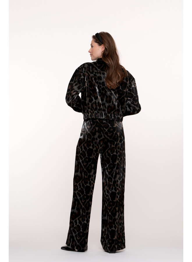 51682-20 925 Geisha Pants animal  grey/bronze