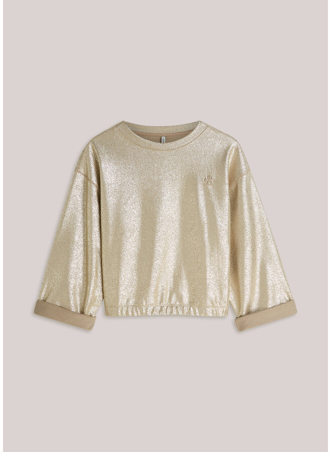 3s5291-30770 722 Summum Jersey Coated sweat  Alpaca