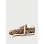 Boax studio SNEAKERS WOMAN STRIKE PYTHON PYTHON