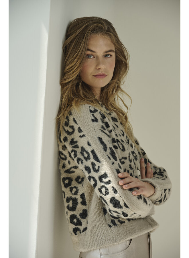 Jet.5012622 Rino & Pelle Boxy jacket with full button closure  Desert leopard