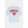 S26F1814 568-334 Penn en Ink T-shirt print skyrider cardinal